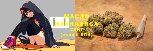 тгк Алзамай