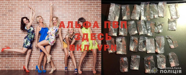 PSILOCYBIN Абаза